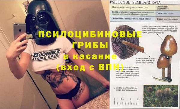 кокаин премиум Белокуриха