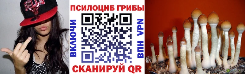 Галлюциногенные грибы Magic Shrooms Ермолино